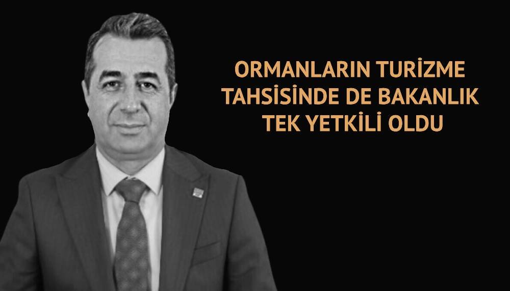 Erhan Adem: Daha ne istiyorsunuz?