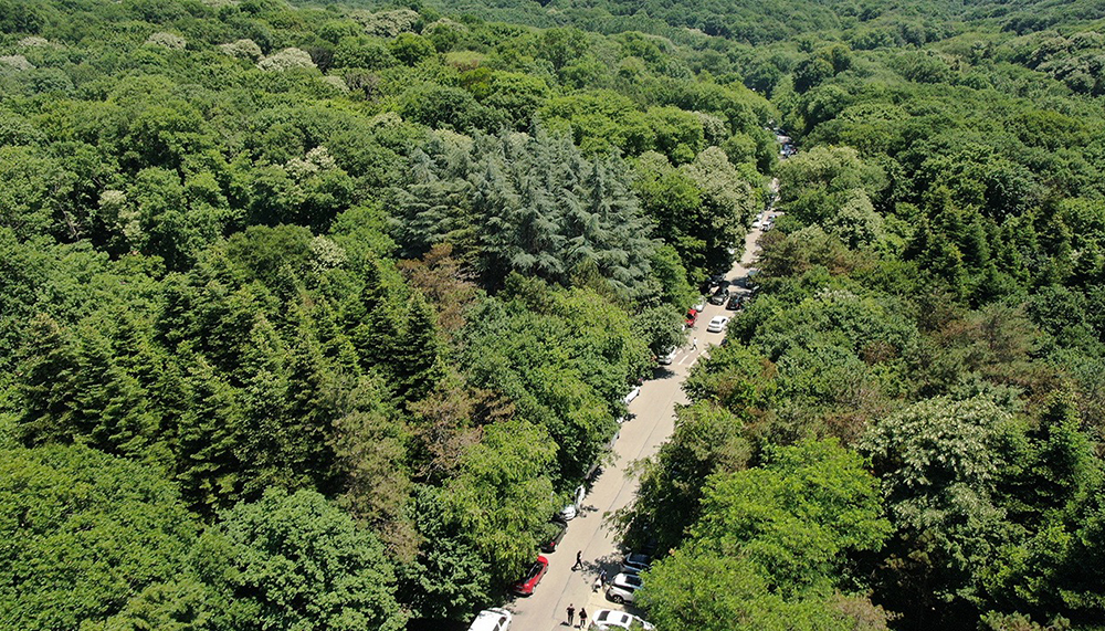 Belgrad Ormanı imara açılıyor, otel de yapılabilecek