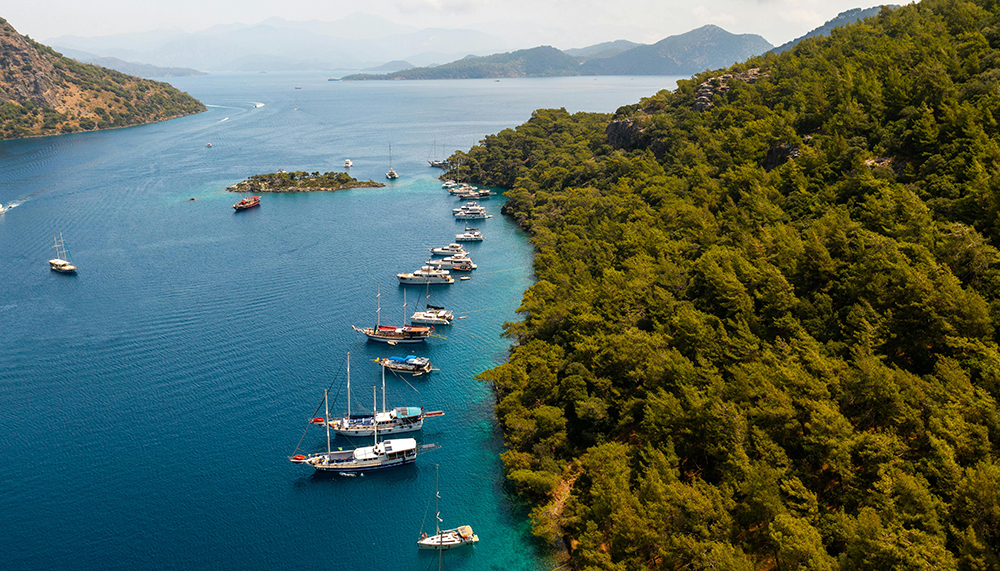 Bodrum’da orman alanına turizm tesisi yapılması için plan değişikliği