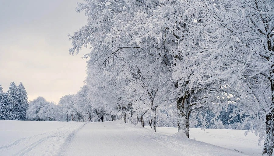 Meteorolojiden 20 ile sarı kodlu uyarı