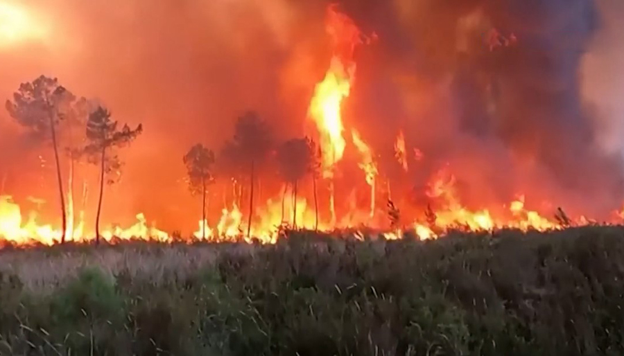 Avrupa orman yangınlarıyla mücadele ediyor