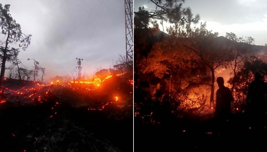 Marmaris’te orman yangını: 1 hektar alan zarar gördü