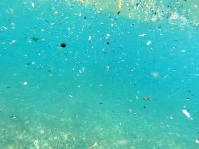 Akdeniz'i kirleten tesislere müsamaha yok! 128 tesise 219 milyon ceza